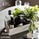 ferm LIVING �ե������ӥ� �ץ��ȥܥå��� S  �ץ�󥿡� �̲� ��ʪ���� ��Ǽ �̲����� ����ƥꥢ ���ߡ�������� ��Ǽ ���å��� ����ȭ ȭ ������� ����͢����  ������̵����