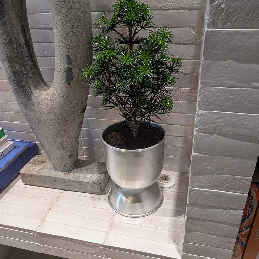 ferm LIVING �ե������ӥ� Hourglass Pot ������饹 �ݥå� S������ �ץ�󥿡�������� ȭ���С� �̲� �֥��� �͵� �����ǥ󻨲� �ץ�󥿡����С� �����ǥ˥󥰻��� ȭ ����͢����