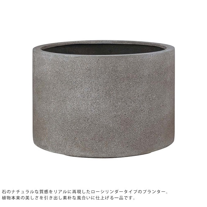 �緿 ȭ ����ʤ��������� ������������ ľ��80cm ����ȭ��ꤢ��/�ץ�󥿡� ����/�礭��ȭ/����/����ץ�/