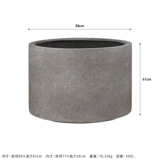 �緿 ȭ ����ʤ��������� ������������ ľ��80cm ����ȭ��ꤢ��/�ץ�󥿡� ����/�礭��ȭ/����/����ץ�/