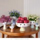 BJORN WINBLAD �ӥ�󡦥�����֥�å� DECOR �ǥ����� ������ �ե��١��� ���եȥ�������  �ե��١��� ���� ������� �̲� ���� �� ���ե� �ץ쥼��� ���襤��