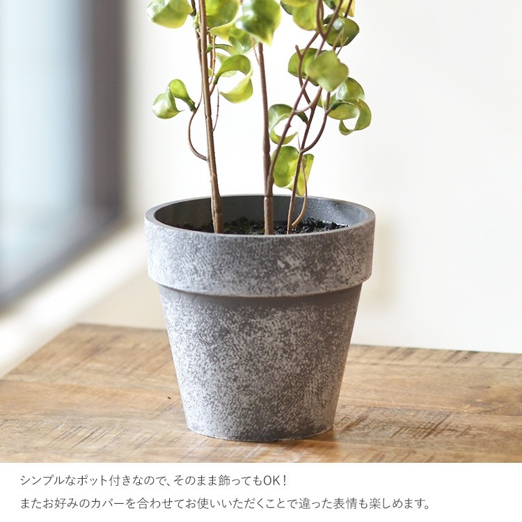 ե꡼ ȭդ  ե ݥå ߥ 4  ͹տʪ ȭ ƥꥢ꡼     ȭ ȭ ܥ˥  ¤ ե ͹ ʪ ӥ  ե Ź