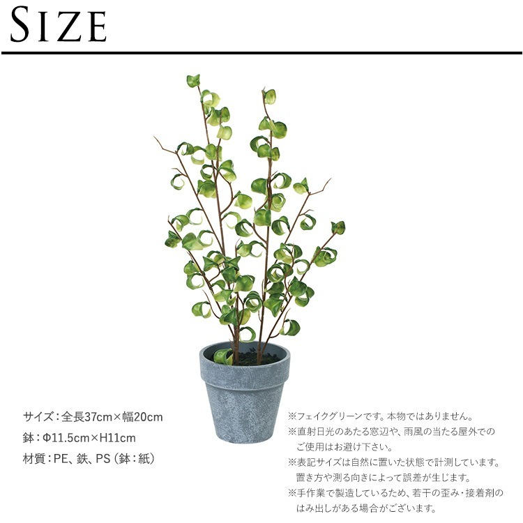 ե꡼ ȭդ  ե ݥå ߥ 4  ͹տʪ ȭ ƥꥢ꡼     ȭ ȭ ܥ˥  ¤ ե ͹ ʪ ӥ  ե Ź