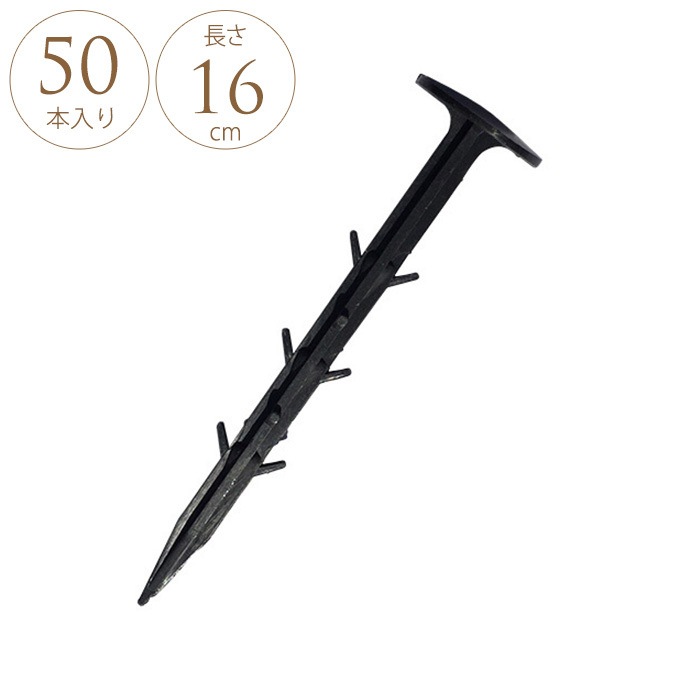 ȴ���ˤ��� �����Ȳ��� 16cm 50������ �����ȸ���ţ ��/������/���� ��������/