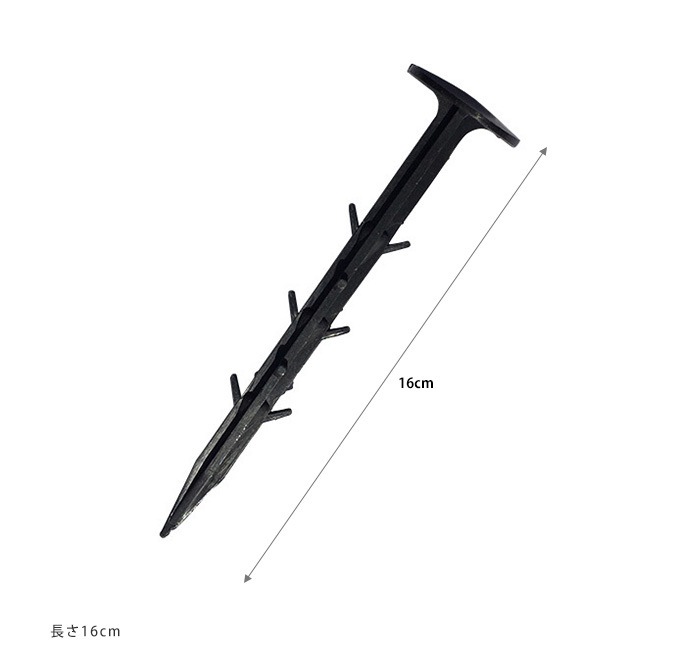 ȴ���ˤ��� �����Ȳ��� 16cm 50������ �����ȸ���ţ ��/������/���� ��������/