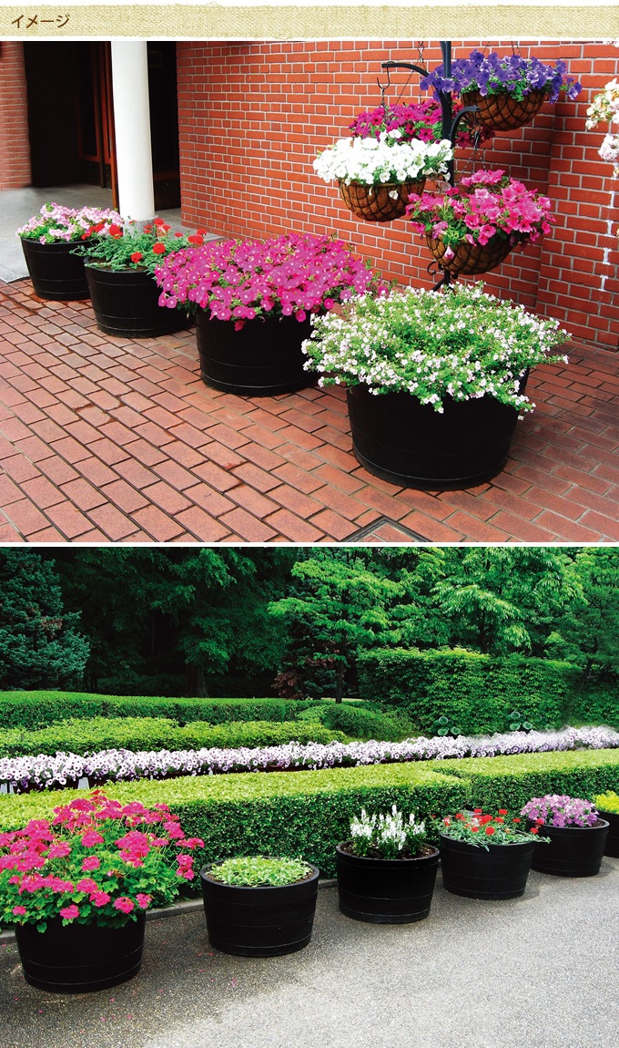 �ץ�󥿡� ȭ ����������î �緿�ץ�󥿡���ľ��64cm�߹⤵44cm �緿 �礭������ ���� ���� Ź��/���� ������ơ��� �ӥ�ơ���/�����ǥ˥�/��̳�� �������/�󤻿���/����/��������/��� ����/��/