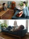 SIEVE  bulge sofa С ե 2ͳݤ  ǥե ե 2ͳݤ 2 ̲  2P  ȶ ӥ