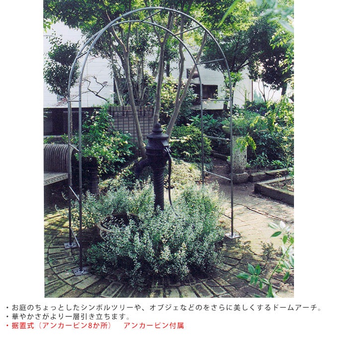  ǥ˥ ѹ ɡ ǥ󥢡  ǥ Ȥ   ե/Х  //󥰥å/ /