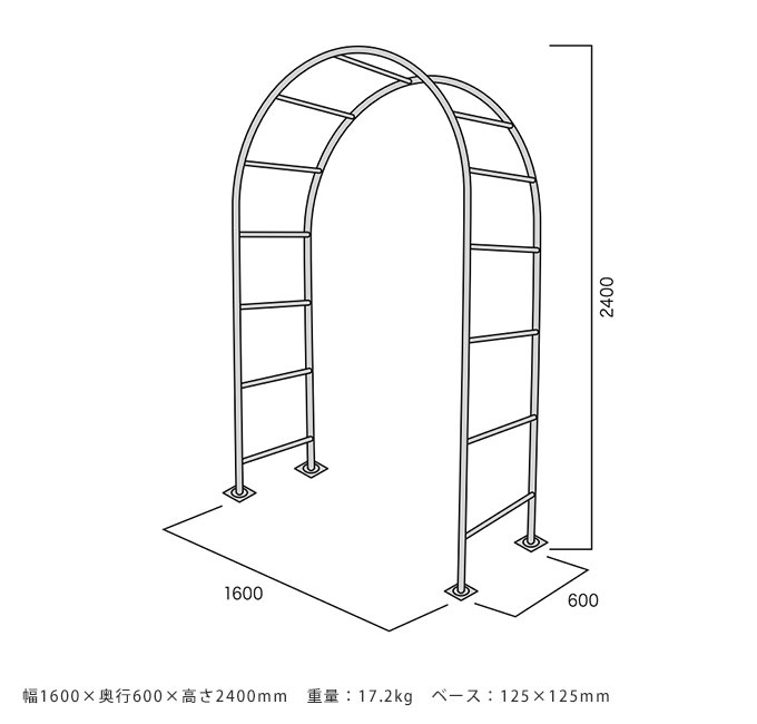  ǥ˥ ѹ ɡ ǥ󥢡  ǥ Ȥ   ե/Х  //󥰥å/ /