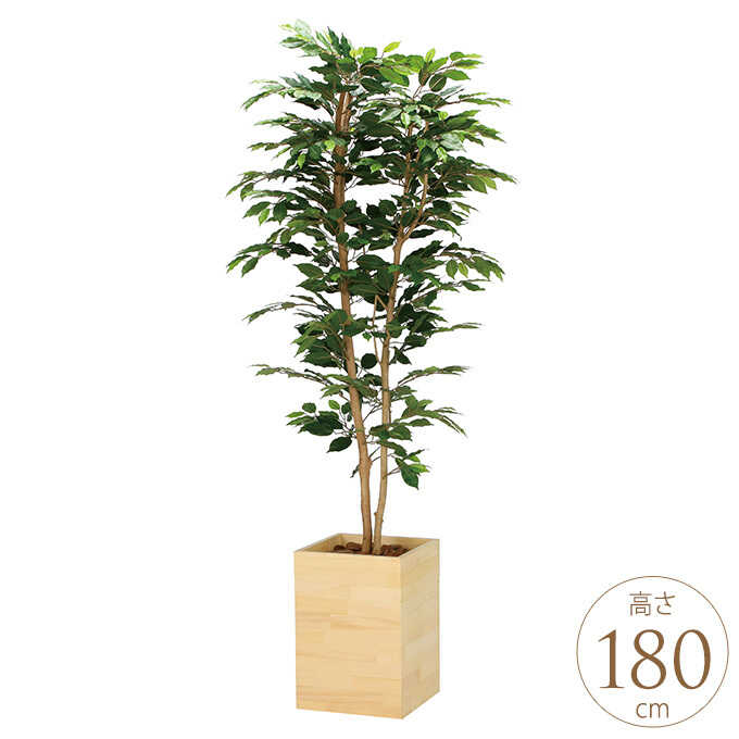 �ե��������꡼�� ȭ���� �緿 ���åɥܥå��� �٥󥸥�ߥ� 1.8m �͹� ���տ�ʪ ������ ����ƥꥢ ���꡼�� ������� ����