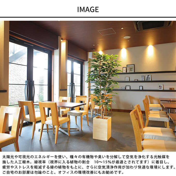 �ե��������꡼�� ȭ���� �緿 ���åɥܥå��� �٥󥸥�ߥ� 1.8m �͹� ���տ�ʪ ������ ����ƥꥢ ���꡼�� ������� ����