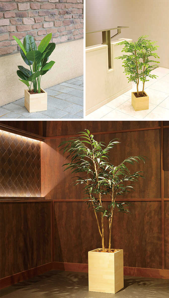 �ե��������꡼�� ȭ���� �緿 ���åɥܥå��� �٥󥸥�ߥ� 1.8m �͹� ���տ�ʪ ������ ����ƥꥢ ���꡼�� ������� ����