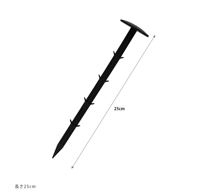 ȴ���ˤ��� �����Ȳ��� 25cm 50������ �����ȸ���ţ ��/������/���� ��������/