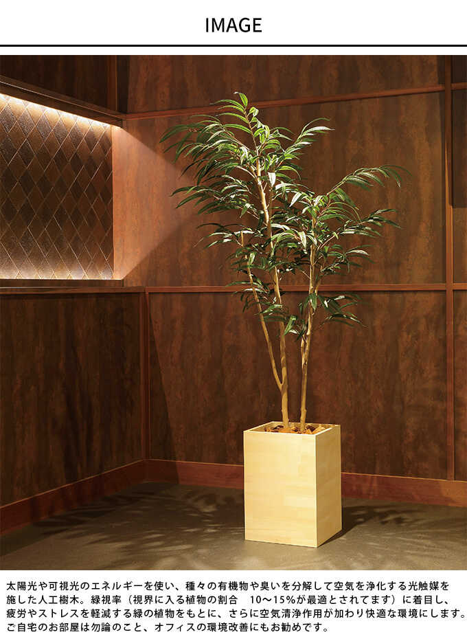 �ե��������꡼�� ȭ���� �緿 ���åɥܥå��� ���祦�ʥ󥴥� 1.8m �͹� ���տ�ʪ ������ ����ƥꥢ ���꡼�� ������� ����