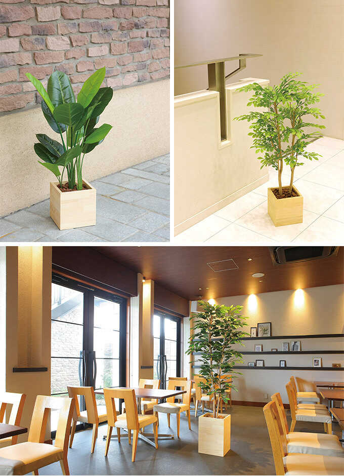 �ե��������꡼�� ȭ���� �緿 ���åɥܥå��� ���祦�ʥ󥴥� 1.8m �͹� ���տ�ʪ ������ ����ƥꥢ ���꡼�� ������� ����