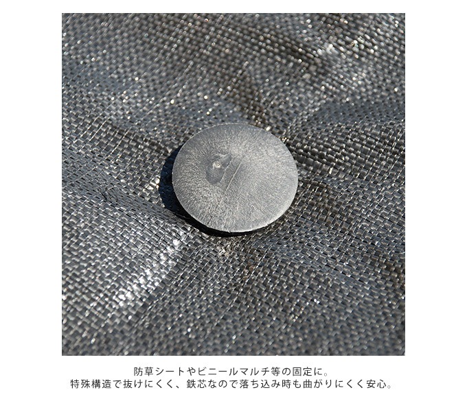 ȴˤ ϥȲ Ŵ 15cm 10 ȸţ // /