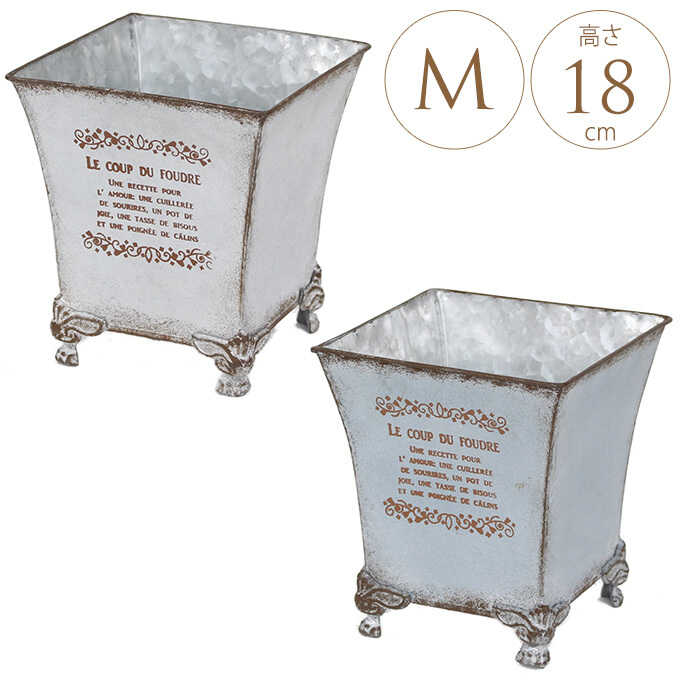 ����ƥ����� ȭ �֥ꥭ �ץ�󥿡� �����󥫥顼 �������ݥå� M ȭ�������/��ꤢ��/����/