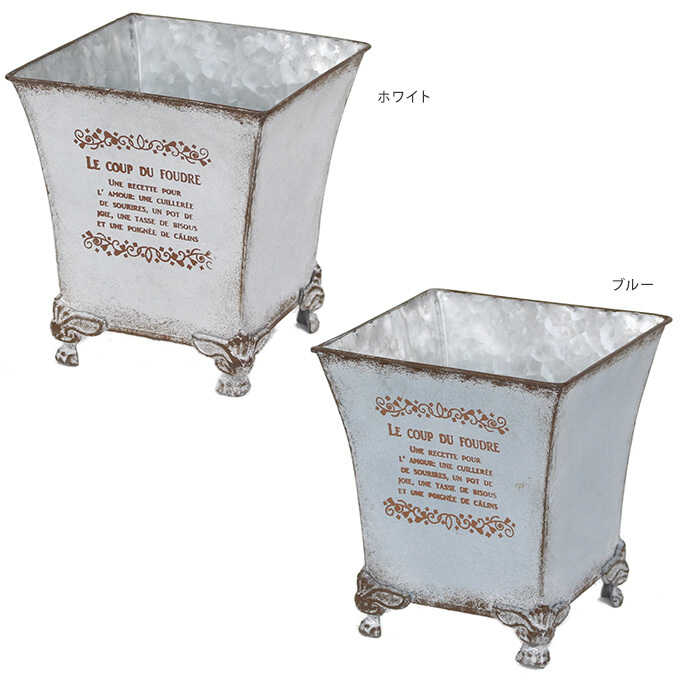 ����ƥ����� ȭ �֥ꥭ �ץ�󥿡� �����󥫥顼 �������ݥå� M ȭ�������/��ꤢ��/����/