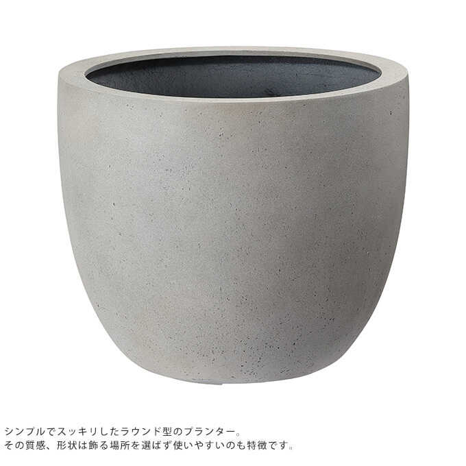 �緿 ȭ ����ʤ��������� �饦��� ľ��45cm ����ȭ��ꤢ��/�ץ�󥿡� ����/�礭��ȭ/����/����ץ�/