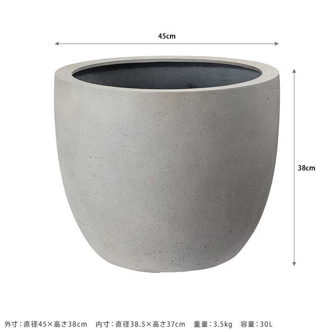 �緿 ȭ ����ʤ��������� �饦��� ľ��45cm ����ȭ��ꤢ��/�ץ�󥿡� ����/�礭��ȭ/����/����ץ�/