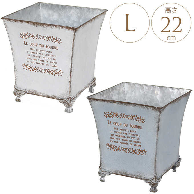 ƥ ȭ ֥ꥭ ץ󥿡 󥫥顼 ݥå L ȭ/ꤢ//