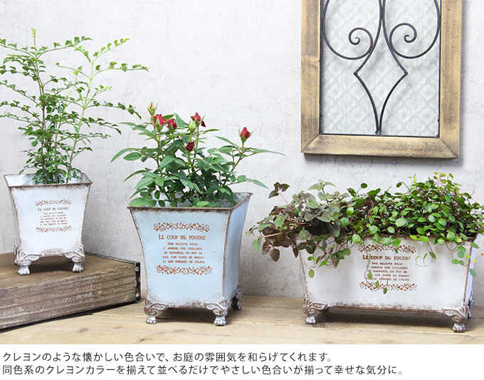 ƥ ȭ ֥ꥭ ץ󥿡 󥫥顼 ݥå L ȭ/ꤢ//