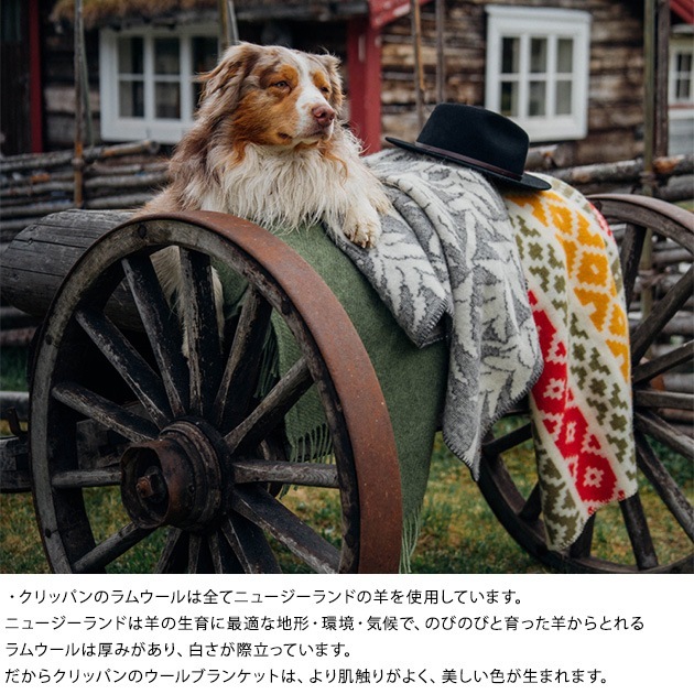 KLIPPAN ����åѥ� ������ ���󥰥� �֥�󥱥å� HOUSE IN THE FOREST  �֥�󥱥å� ��Ƚ ���� ���� �Ȥ��� �Ҥ��ݤ� �̲� �֥��� ���ä����� ���ե��� �� ������100�� ���ե� �ץ쥼��� ��������