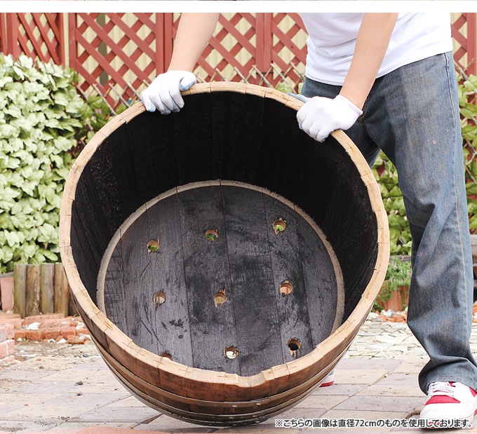 �ץ�󥿡� ȭ ����������î �緿�ץ�󥿡� ̵���� ľ��61��65cm �緿 �礭������ ���� ���� Ź��/���� ������ơ��� �ӥ�ơ���/�����ǥ˥�/��̳�� �������/�󤻿���/����/��������/��� ����/��/