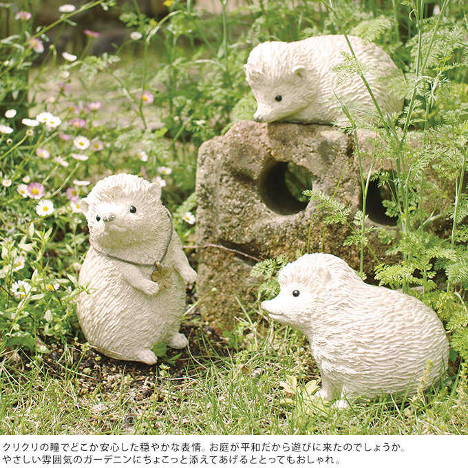 ǥ ʪ ƥ ͤ ϥͥ 3ɤå  ǥ󻨲  ֥ ٥  襤