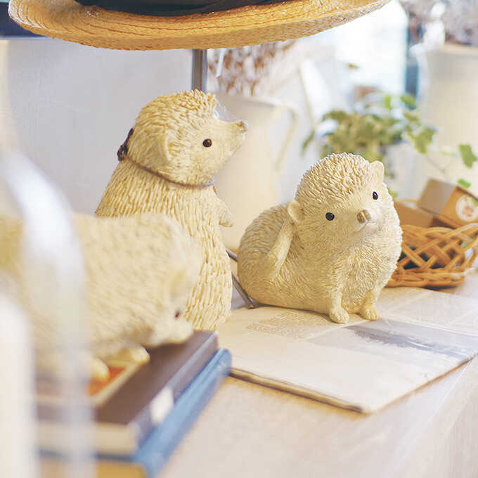 ǥ ʪ ƥ ͤ ϥͥ 3ɤå  ǥ󻨲  ֥ ٥  襤