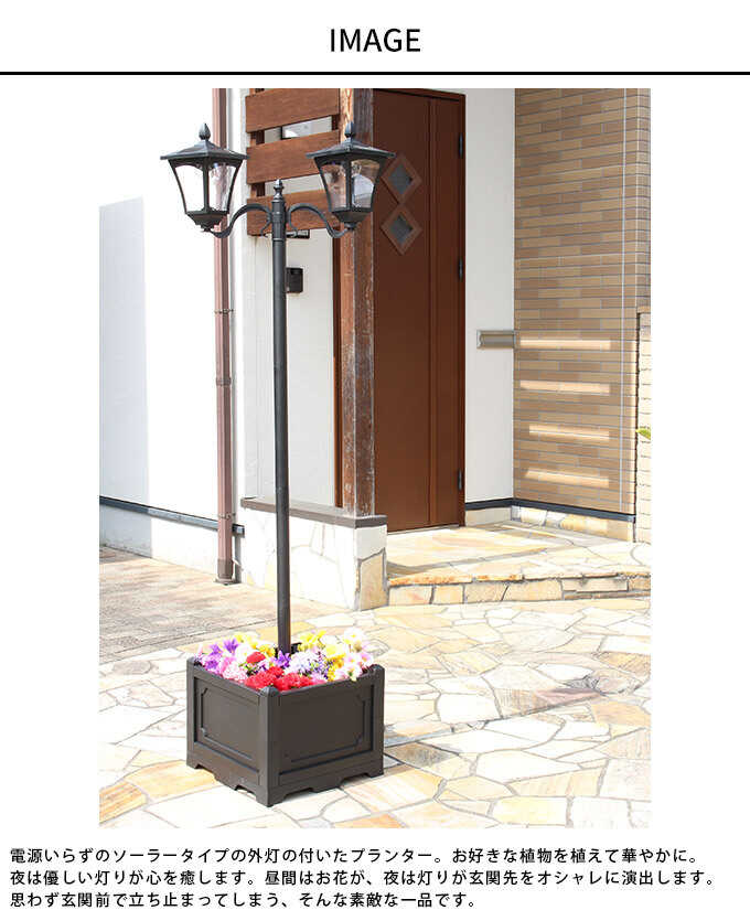 顼饤  ɿ    ͳѤץ󥿡դ 2 ǥ饤 顼  󥵡饤 ̲ LED 饤 