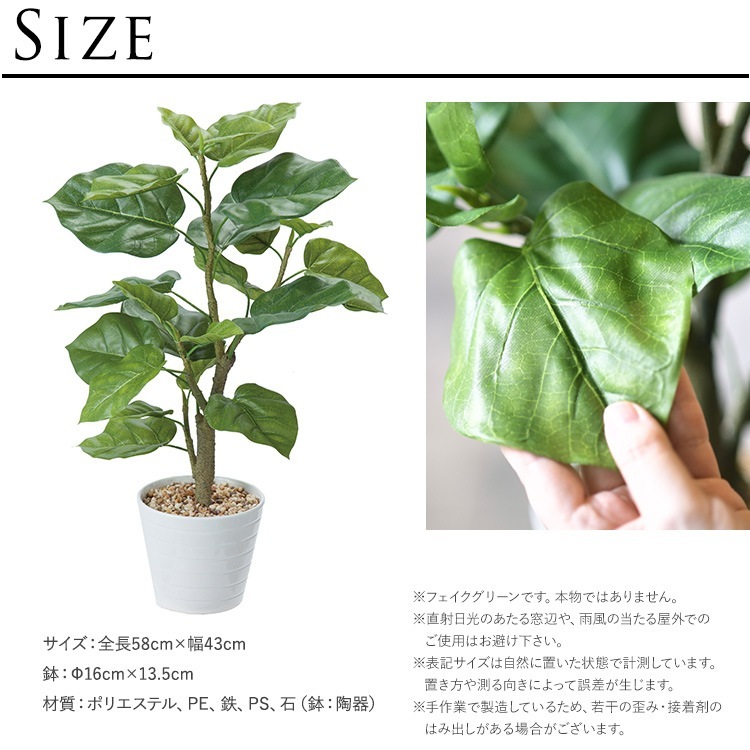 ե꡼ ȭդ  ٥顼 ݥå  ͹տʪ ȭ ƥꥢ꡼     ȭ ȭ ܥ˥  ¤ ե ͹ ʪ ӥ  ե Ź  ̵