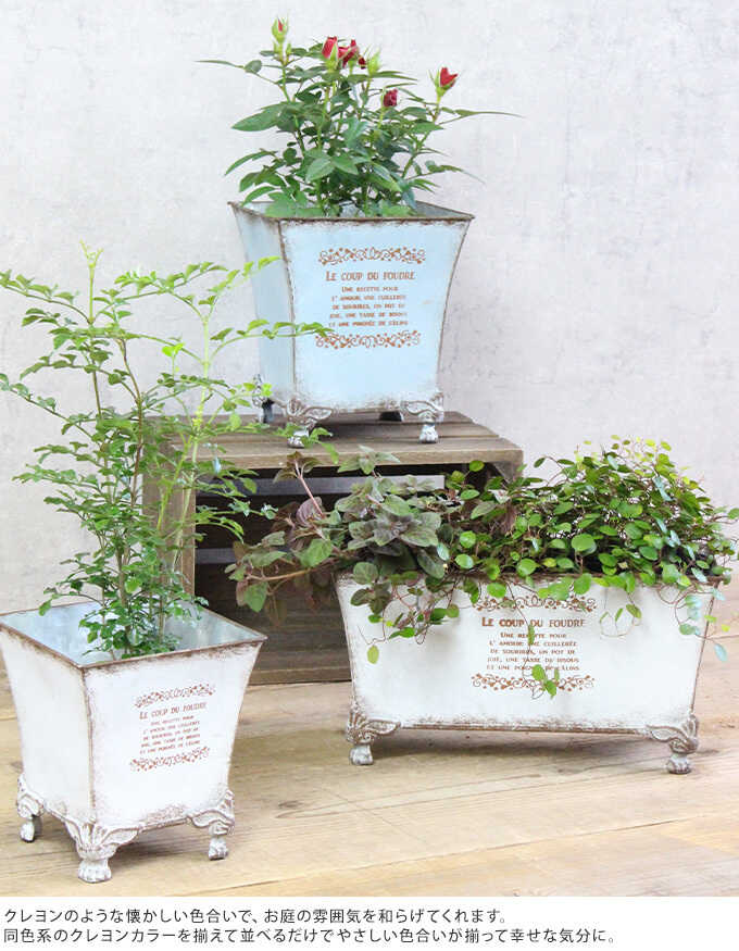 ƥ ȭ ֥ꥭ ץ󥿡 󥫥顼 磻ɥݥå L ȭ/ꤢ//