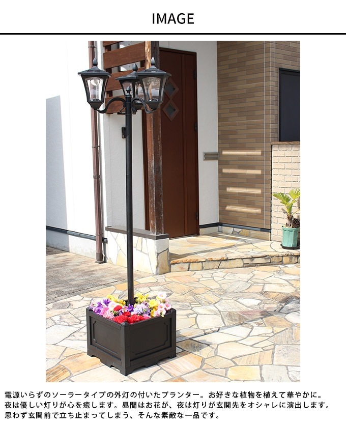 顼饤  ɿ     ͳѤץ󥿡դ 3 ǥ饤 顼  󥵡饤 ̲ LED 饤 