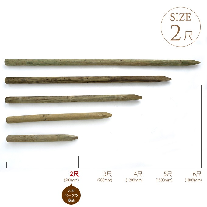 ACQ660cm5ܥå ڹ ŷ 졡/ /2/ ¤/ǥ˥//ŷ//