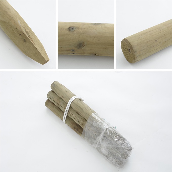 ACQ660cm5ܥå ڹ ŷ 졡/ /2/ ¤/ǥ˥//ŷ//