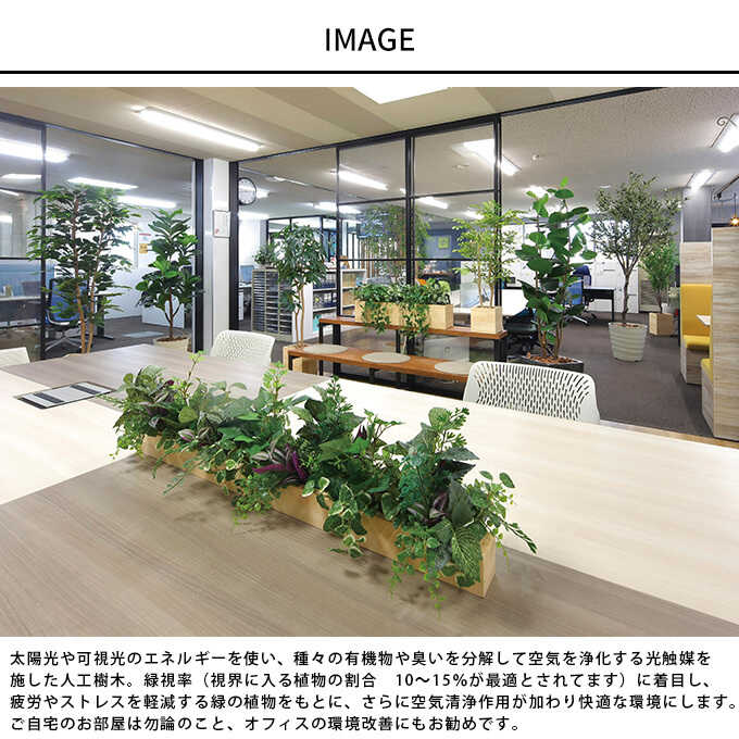 �ե��������꡼�� ȭ���� �緿 ���åɥܥå��� ���꡼�� 1.6m �͹� ���տ�ʪ ������ ����ƥꥢ ���꡼�� ������� ����