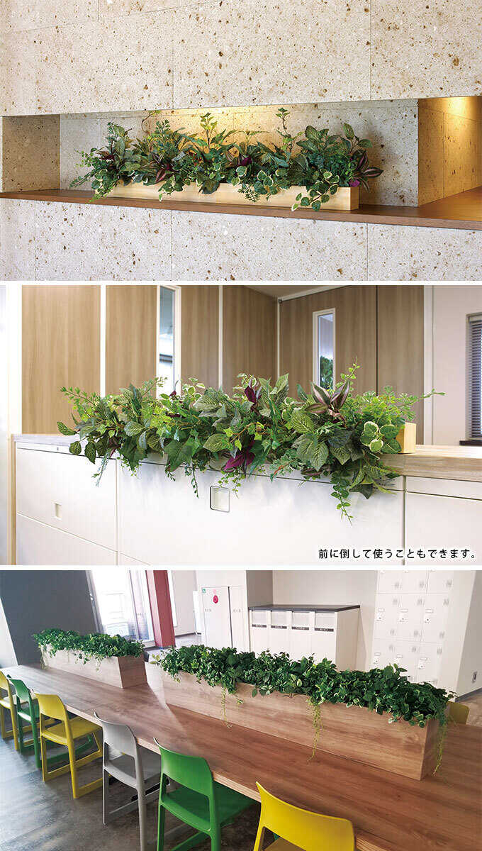 �ե��������꡼�� ȭ���� �緿 ���åɥܥå��� ���꡼�� 1.6m �͹� ���տ�ʪ ������ ����ƥꥢ ���꡼�� ������� ����