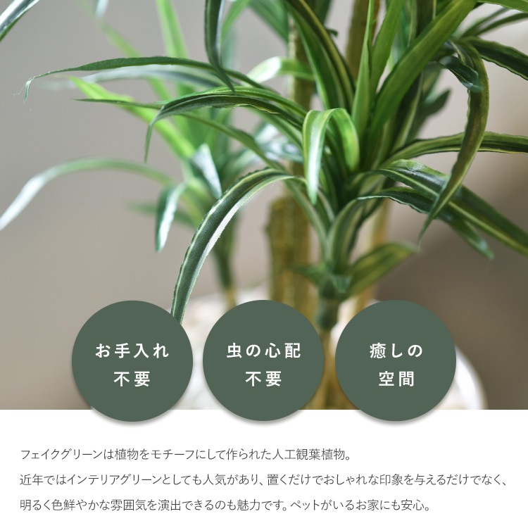 ե꡼ ȭդ  å ݥå ߥ 5  ͹տʪ ȭ ƥꥢ꡼     ȭ ȭ ܥ˥  ¤ ե ͹ ʪ ӥ  ե Ź  ̵