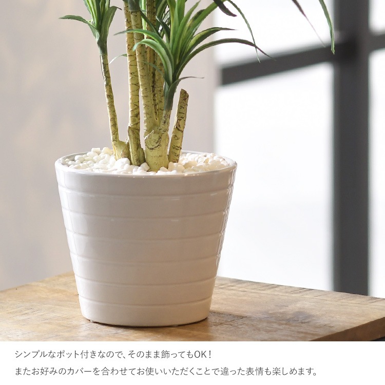 ե꡼ ȭդ  å ݥå ߥ 5  ͹տʪ ȭ ƥꥢ꡼     ȭ ȭ ܥ˥  ¤ ե ͹ ʪ ӥ  ե Ź  ̵