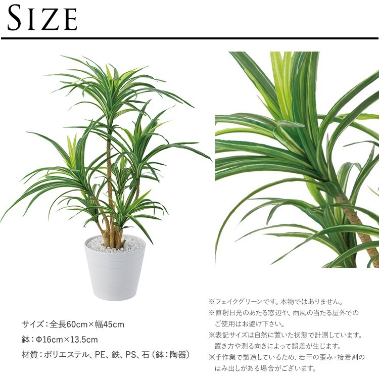 ե꡼ ȭդ  å ݥå ߥ 5  ͹տʪ ȭ ƥꥢ꡼     ȭ ȭ ܥ˥  ¤ ե ͹ ʪ ӥ  ե Ź  ̵