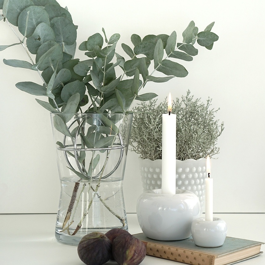 ���� ������� �̲� �֥��� Born in Sweden ���ե����١���  M  ���饹�١��� �ե��١���