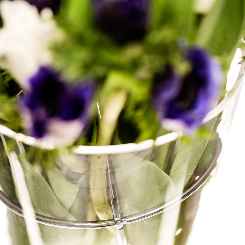 ���� ������� �̲� �֥��� Born in Sweden ���ե����١���  M  ���饹�١��� �ե��١���