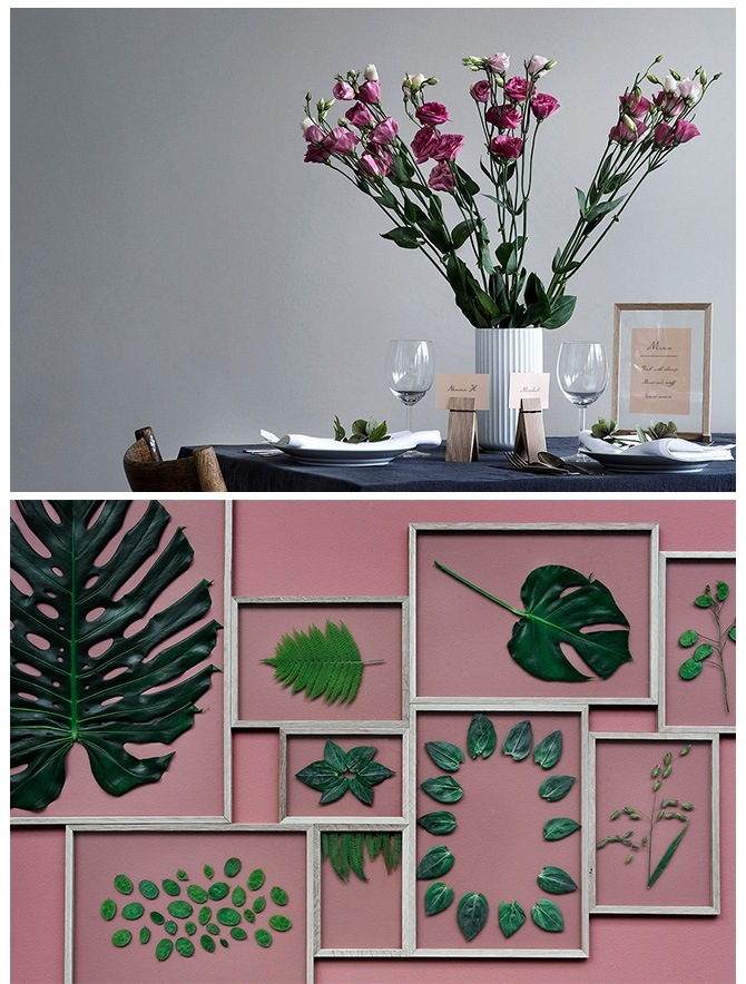  ե졼 ɳݤ MOEBE A5   ȥե졼 ̲ ƥꥢ   ץ A5  