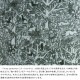 KLIPPAN ����åѥ� �����륷�󥰥� �֥�󥱥å� rabbits play birds rest forest  �֥�󥱥å� ��Ƚ ���� ���� �Ȥ��� �Ҥ��ݤ� �̲� �֥��� ���ե��� �� ������100�� ���ե� �ץ쥼���  ������̵����