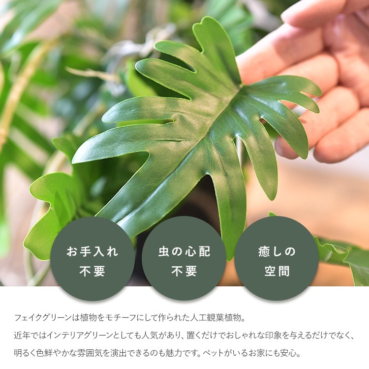 �ե��������꡼�� ȭ�դ� ������� ���å��Х�� �ϥ󥮥󥰥ݥå� �ߥ� 4��  �͹����տ�ʪ ȭ���� ����ƥꥢ���꡼�� ��� ���� ������ ���� ȭ�� ȭ �ܥ��˥��� �� ¤�� �ե����� �͹� ��ʪ ��ӥ� ���� ���ե� Ź��  ������̵����