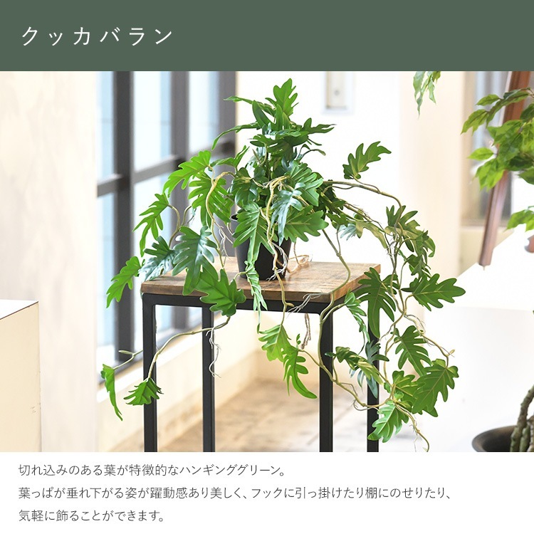 �ե��������꡼�� ȭ�դ� ������� ���å��Х�� �ϥ󥮥󥰥ݥå� �ߥ� 4��  �͹����տ�ʪ ȭ���� ����ƥꥢ���꡼�� ��� ���� ������ ���� ȭ�� ȭ �ܥ��˥��� �� ¤�� �ե����� �͹� ��ʪ ��ӥ� ���� ���ե� Ź��  ������̵����