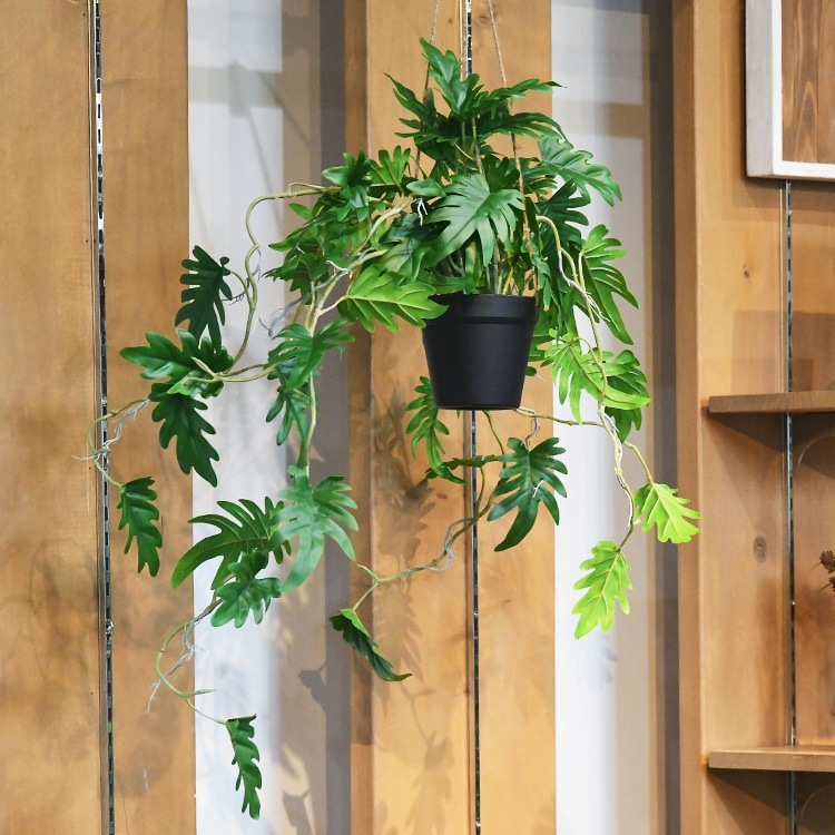 �ե��������꡼�� ȭ�դ� ������� ���å��Х�� �ϥ󥮥󥰥ݥå� �ߥ� 4��  �͹����տ�ʪ ȭ���� ����ƥꥢ���꡼�� ��� ���� ������ ���� ȭ�� ȭ �ܥ��˥��� �� ¤�� �ե����� �͹� ��ʪ ��ӥ� ���� ���ե� Ź��  ������̵����