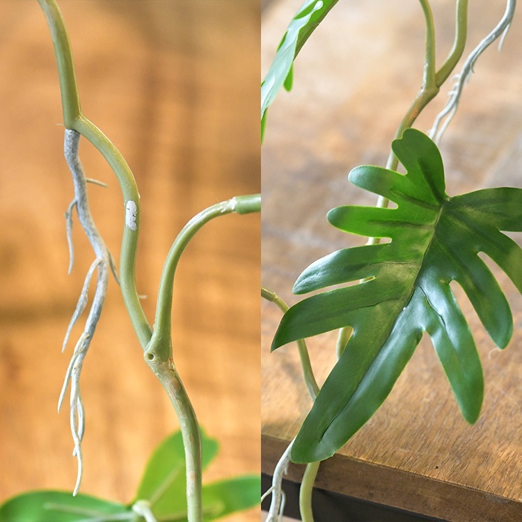 �ե��������꡼�� ȭ�դ� ������� ���å��Х�� �ϥ󥮥󥰥ݥå� �ߥ� 4��  �͹����տ�ʪ ȭ���� ����ƥꥢ���꡼�� ��� ���� ������ ���� ȭ�� ȭ �ܥ��˥��� �� ¤�� �ե����� �͹� ��ʪ ��ӥ� ���� ���ե� Ź��  ������̵����