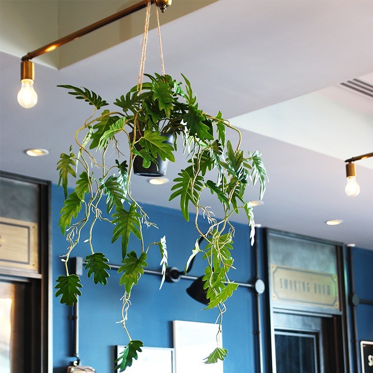 �ե��������꡼�� ȭ�դ� ������� ���å��Х�� �ϥ󥮥󥰥ݥå� �ߥ� 4��  �͹����տ�ʪ ȭ���� ����ƥꥢ���꡼�� ��� ���� ������ ���� ȭ�� ȭ �ܥ��˥��� �� ¤�� �ե����� �͹� ��ʪ ��ӥ� ���� ���ե� Ź��  ������̵����